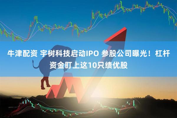 牛津配资 宇树科技启动IPO 参股公司曝光！杠杆资金盯上这10只绩优股